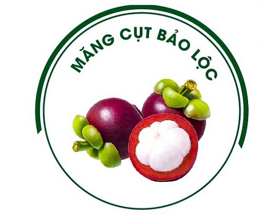 "Măng cụt Bảo Lộc" được cấp nhãn hiệu độc quyền