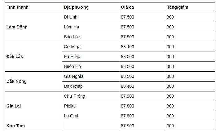 Thị trường cà phê trong nước ngày 16/9/2023