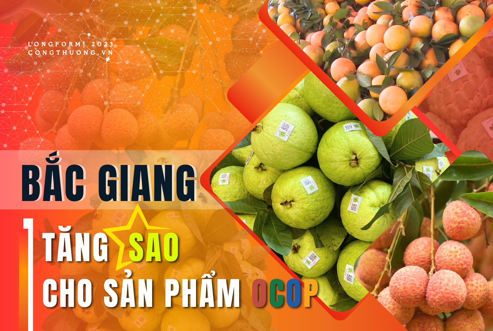 Longform | Bắc Giang: Tăng “sao” cho sản phẩm OCOP