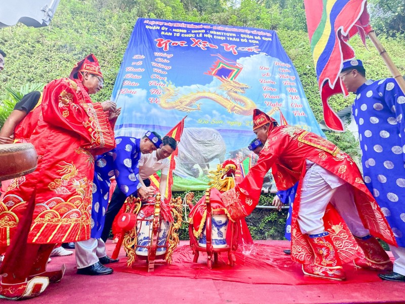 Những lý giải độc đáo về nguồn gốc và ý nghĩa cao đẹp của Lễ hội Chọi trâu Đồ Sơn