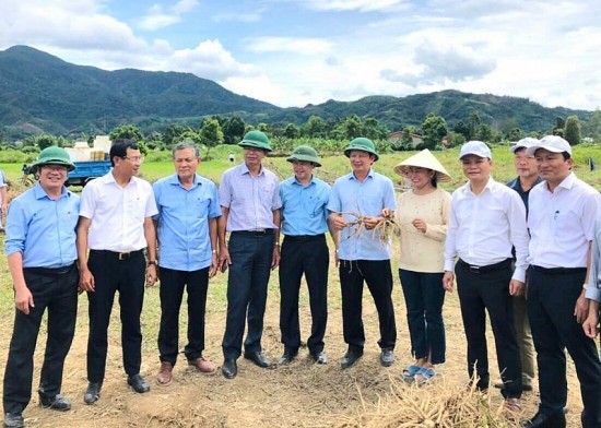 huyen a luoi thua thien hue phat trien cay duoc lieu huong den giam ngheo ben vung