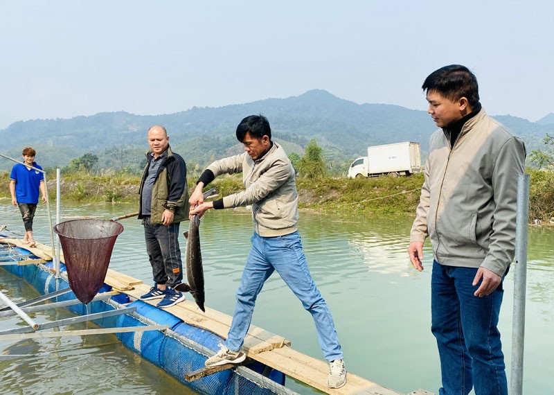 Hà Giang: Chỉ dẫn địa lý giúp mở rộng cơ hội tiêu thụ nông sản