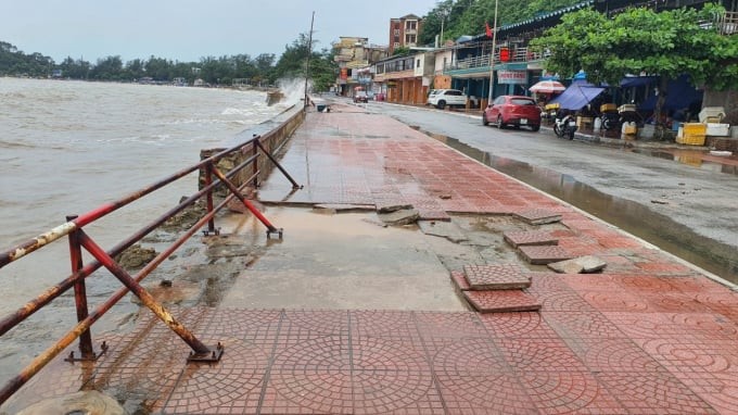 Hải Phòng: Xử lý dứt điểm các trường hợp vi phạm đê điều trong tháng 10/2023