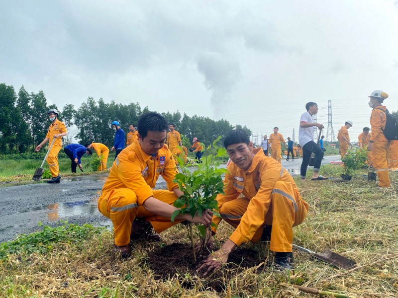 KCM trồng 1.000 cây hoa dọc hành lang tuyến ống trên bờ của Hệ thống khí PM3 - Cà Mau