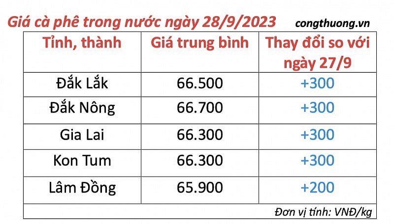 Thị trường cà phê trong nước ngày 28/9/2023