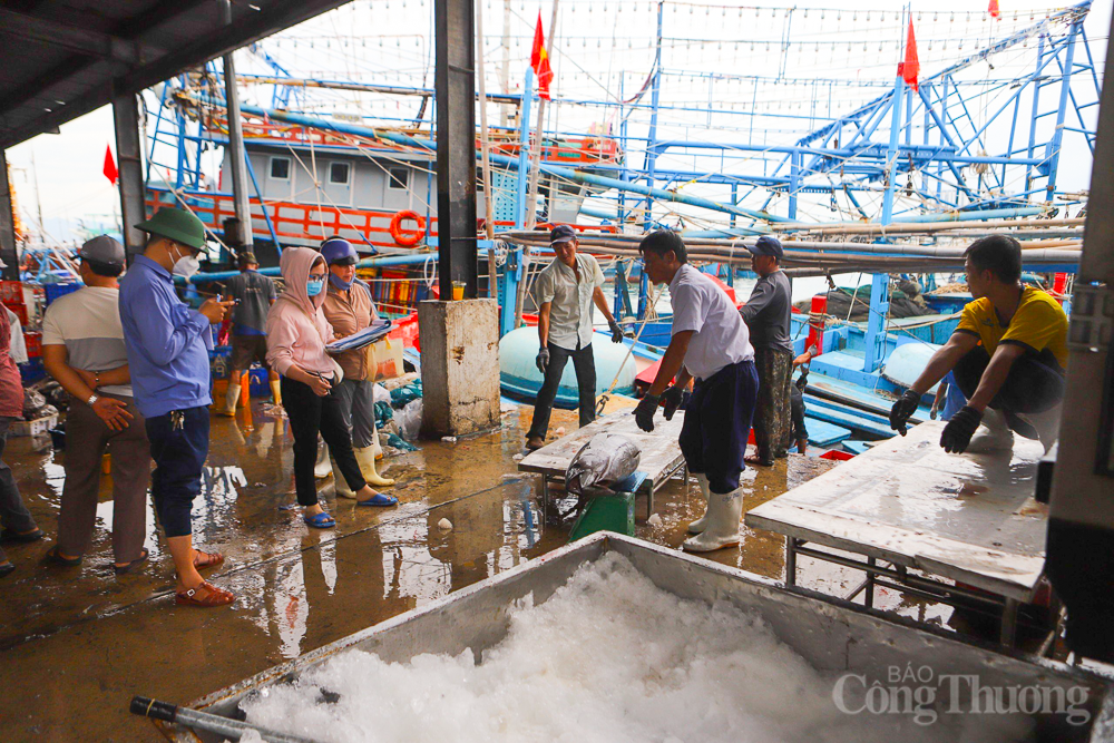 Quyết tâm cao tháo gỡ “thẻ vàng” IUU trong năm 2024