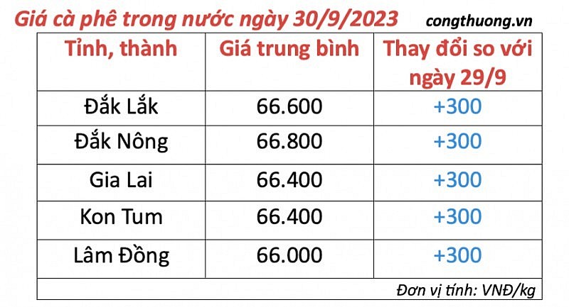 Thị trường cà phê trong nước ngày 30/9/2023