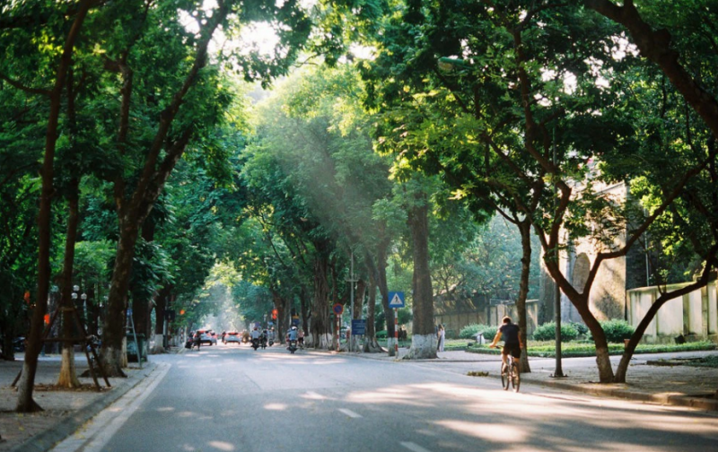 Ảnh minh họa