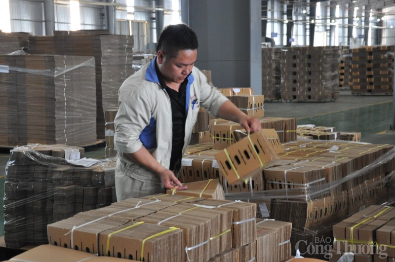 Bài 3: Vững bước trên con đường mới