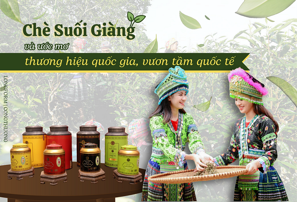 Longform | Chè Suối Giàng và ước mơ thương hiệu quốc gia, vươn tầm quốc tế Longform | Chè Suối Giàng và ước mơ thương hiệu quốc gia, vươn tầm quốc tế