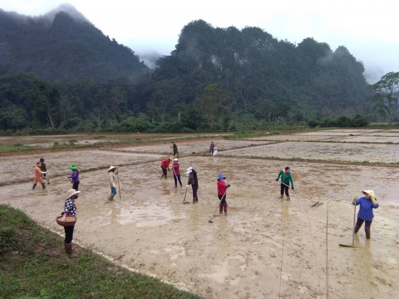 Đồng bào Rục ở xã Thượng Hóa làm đất, gieo lúa vụ Đông Xuân (Ảnh: Đinh Thị Huyền)