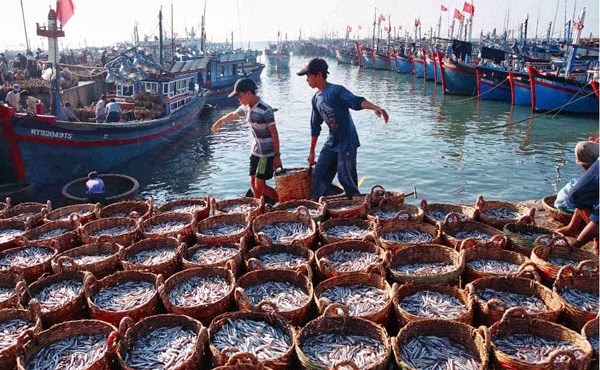 Go 'the vang' IUU: No luc, quyet liet hoan thanh khuyen nghi cua EC hinh anh 2