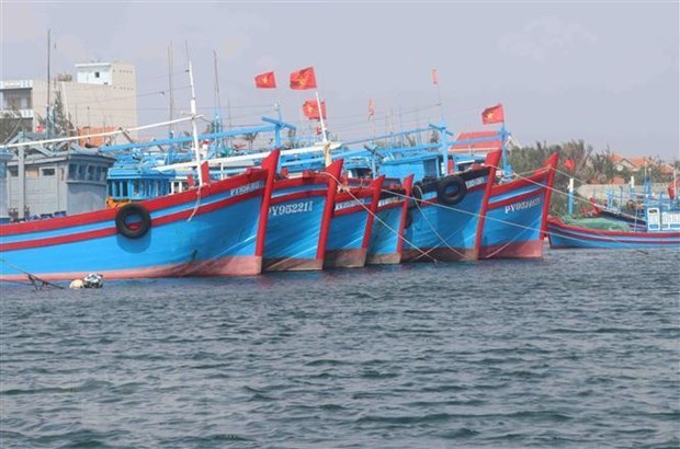 Go 'the vang' IUU: No luc, quyet liet hoan thanh khuyen nghi cua EC hinh anh 1