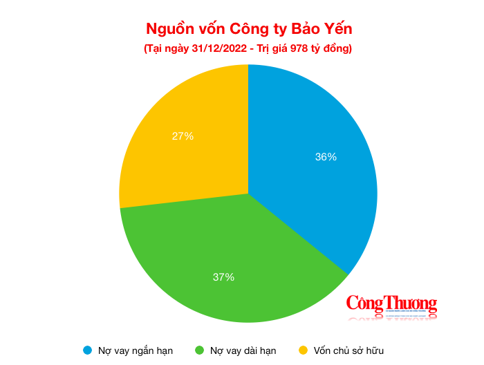 Công ty Bảo Yến: 'Điệp khúc' trúng thầu sát giá, mỗi đồng vốn 'cõng' 3 đồng nợ vay