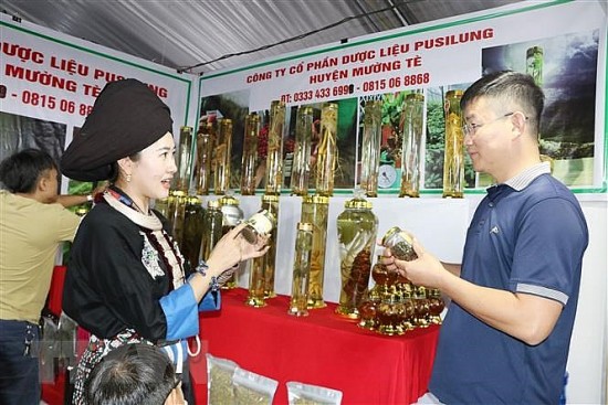 hoi cho cong thuong vung tay bac lai chau 2023 lien ket mang luoi phan phoi