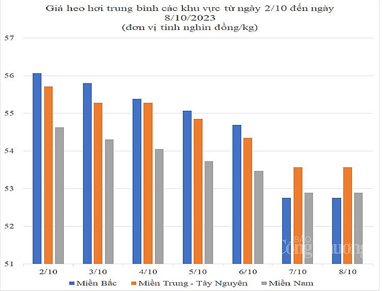 Giá heo hơi hôm nay ngày 8/10/2023: Mức thấp nhất 50.000 đồng/kg