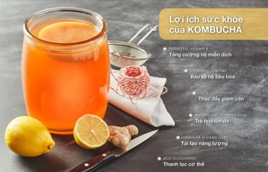 tra kombucha la gi loi ich cua tra kombucha voi suc khoe