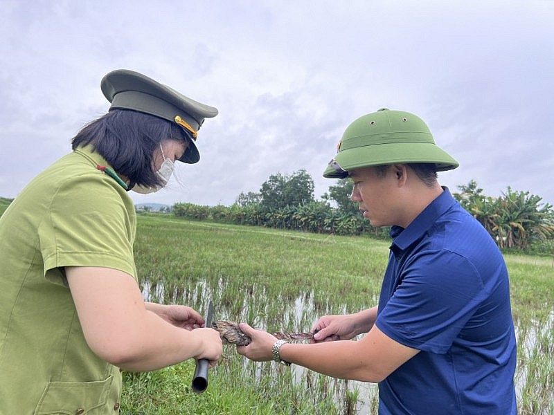 Thanh Hoá: Xử lý nghiêm tình trạng bẫy chim trời