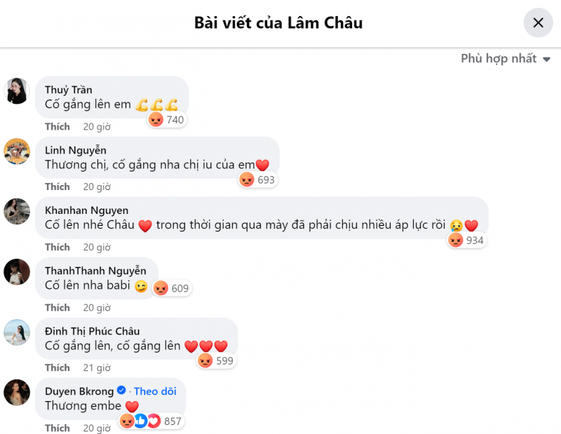 Các bình luận ủng hộ Lâm Châu. Ảnh chụp màn hình