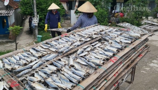 thi xa nghi son thanh hoa nhung ket qua dang ghi nhan thuc hien muc tieu giam ngheo ben vung