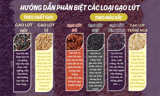 có rất nhiều loại gạo lứt khác nhau và phần lớn mang đến giá trị dinh dưỡng cao