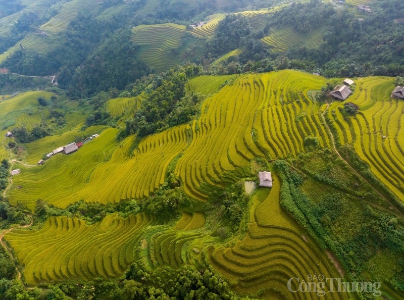 Cảnh sắc thiên nhiên hùng vĩ, những nương ruộng bậc thang xanh ngát, đến khi mùa lúa chín lại nhuộm vàng cả bản làng, rồi lại trở mình như những tấm gương phản chiếu đất trời khi nước đổ.