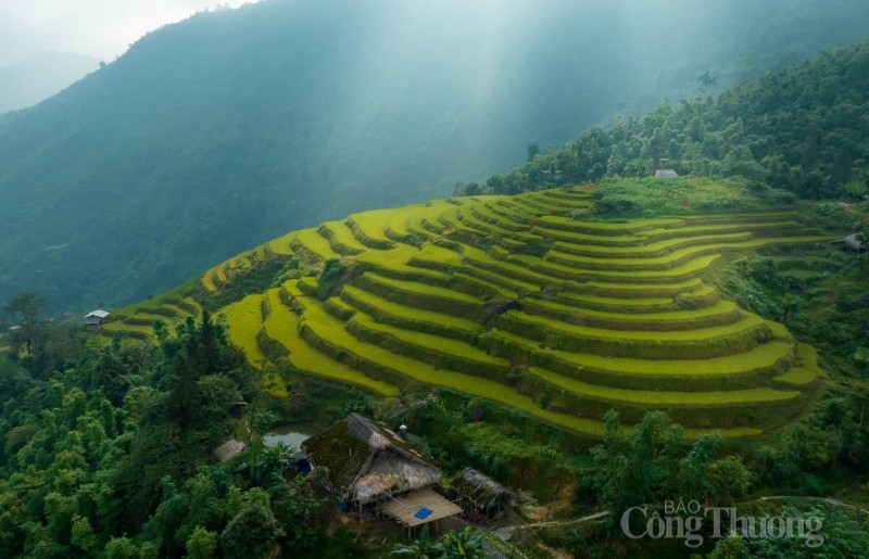 Bản người Dao chỉ cách TP Hà Giang hơn 12km về phía Bắc. Mùa lúa vàng óng kết hợp với những nóc nhà sàn tạo nên vẻ đẹp đậm nét nguyên sơ, mộc mạc.