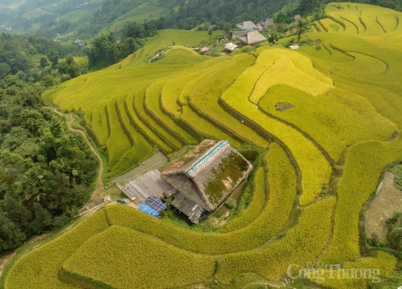 Nơi đây sương mù bao phủ quanh năm với độ ẩm cao đã tạo nên những lớp rêu xanh trên mái nhà sàn lợp bằng lá cọ.