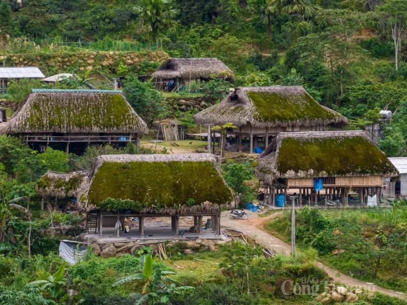 Nơi đây không chỉ sương mù bao phủ, độ ẩm và mát mẻ quanh năm, mỗi tháng có tới trên dưới 20 ngày mưa nên hầu hết những mái nhà sàn đều mọc rêu xanh.