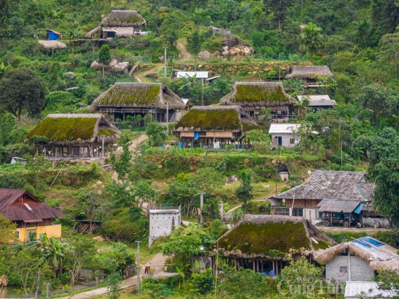 Thôn Xà Phìn có hơn 50 nóc nhà thì có tới hơn 40 ngôi nhà lợp lá cọ