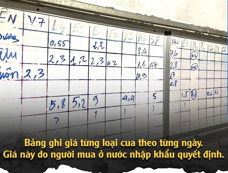 Vén màn mánh khóe xảo quyệt sau chuyện thương lái ép giá ở thủ phủ cua Cà Mau