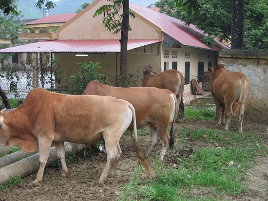 Hà Giang: Phát huy thế mạnh các sản phẩm OCOP của đồng bào dân tộc