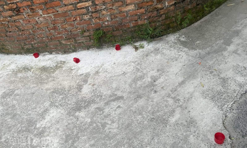 d d