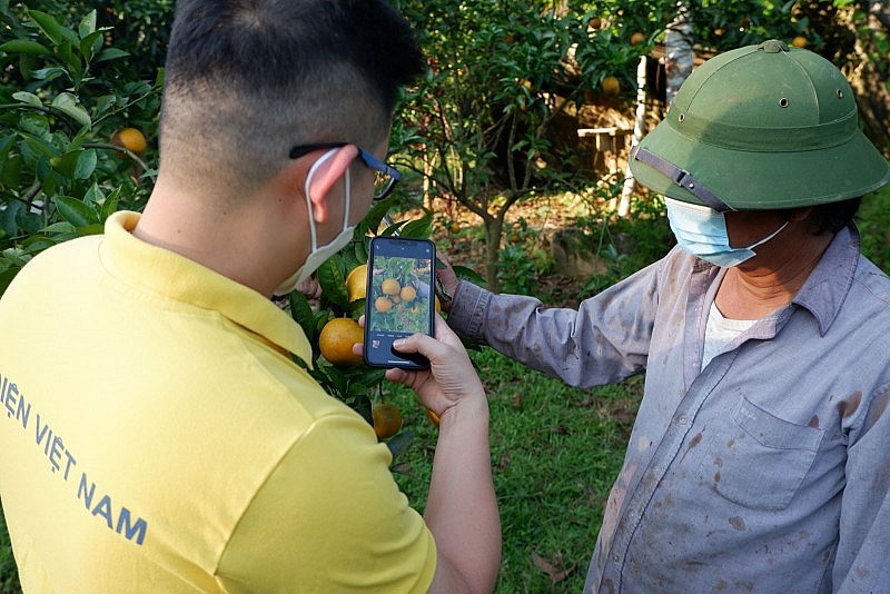 Đẩy mạnh tiêu thụ sản phẩm vùng đồng bào dân tộc thiểu số và miền núi trên sàn thương mại điện tử