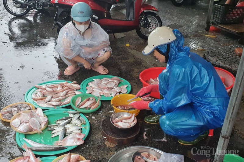 Đà Nẵng: Mưa lớn, làng rau chìm trong nước, giá rau xanh tăng