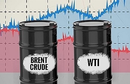 Giá xăng dầu hôm nay ngày 18/10/2023: Giá dầu WTI, dầu Brent bất ngờ tăng trở lại