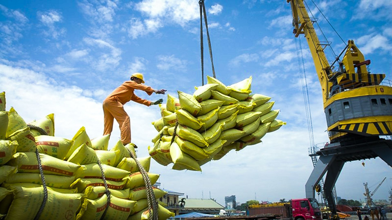 Cơ hội lớn cho cho thị trường Việt Nam xuất khẩu gạo sang thế giới