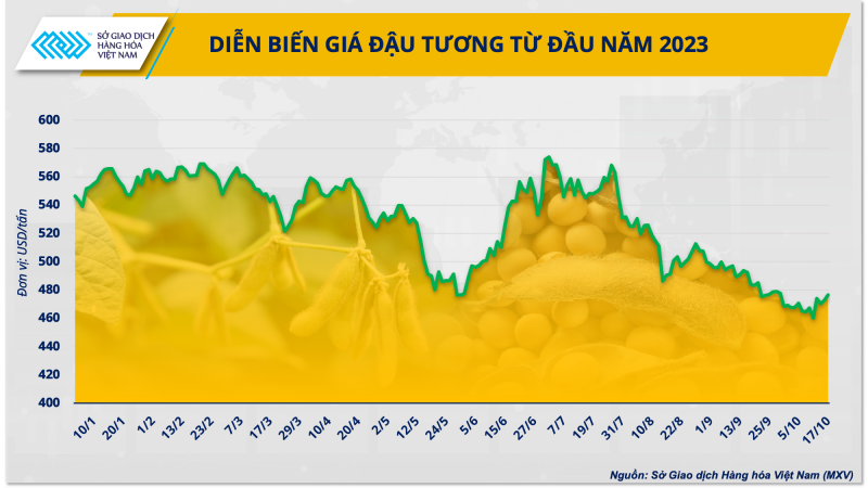 Cần làm gì khi nguồn cung đậu tương từ Mỹ bị thu hẹp?