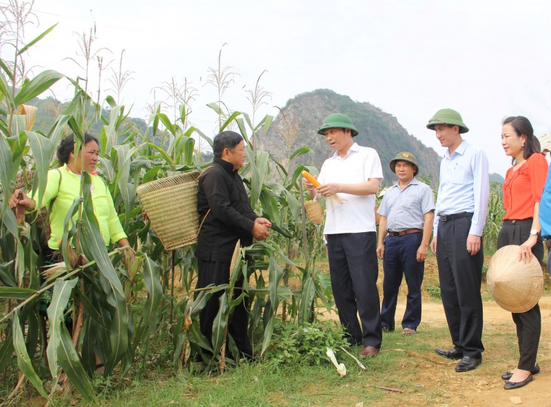 Thái Nguyên: Triển khai hiệu quả các chương trình, chính sách dân tộc