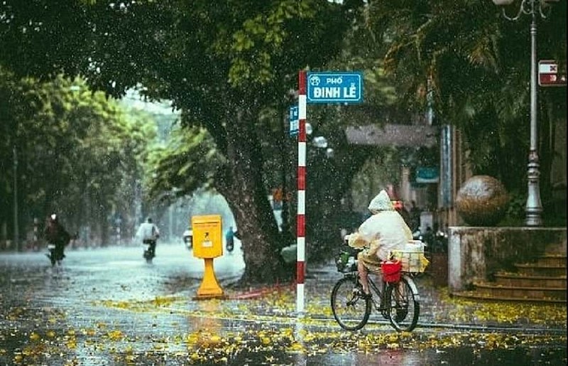 Ảnh minh họa