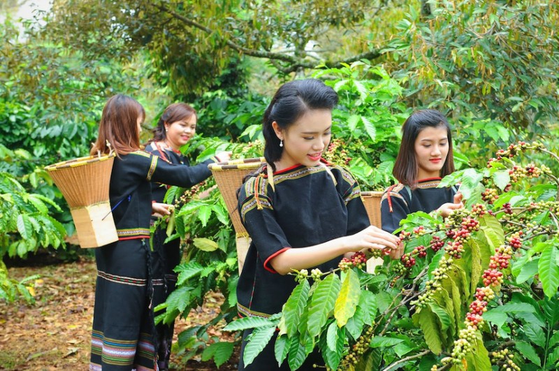 Kết nối tăng tín dụng trên miền đất bazan