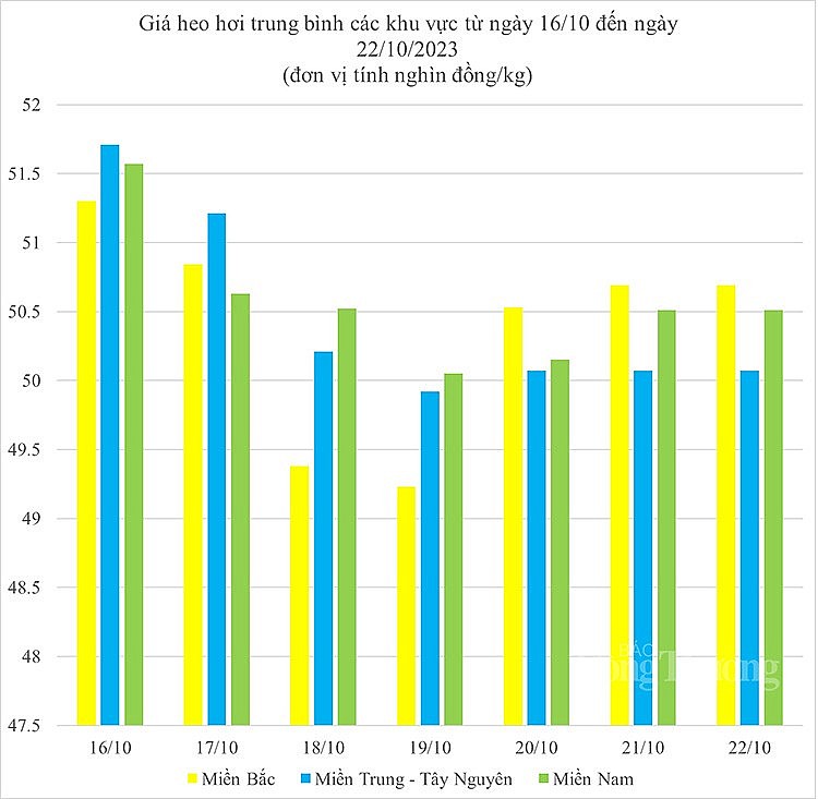 Giá heo hơi hôm nay ngày 22/10/2023: Mức giá trung bình 50.000 đồng/kg