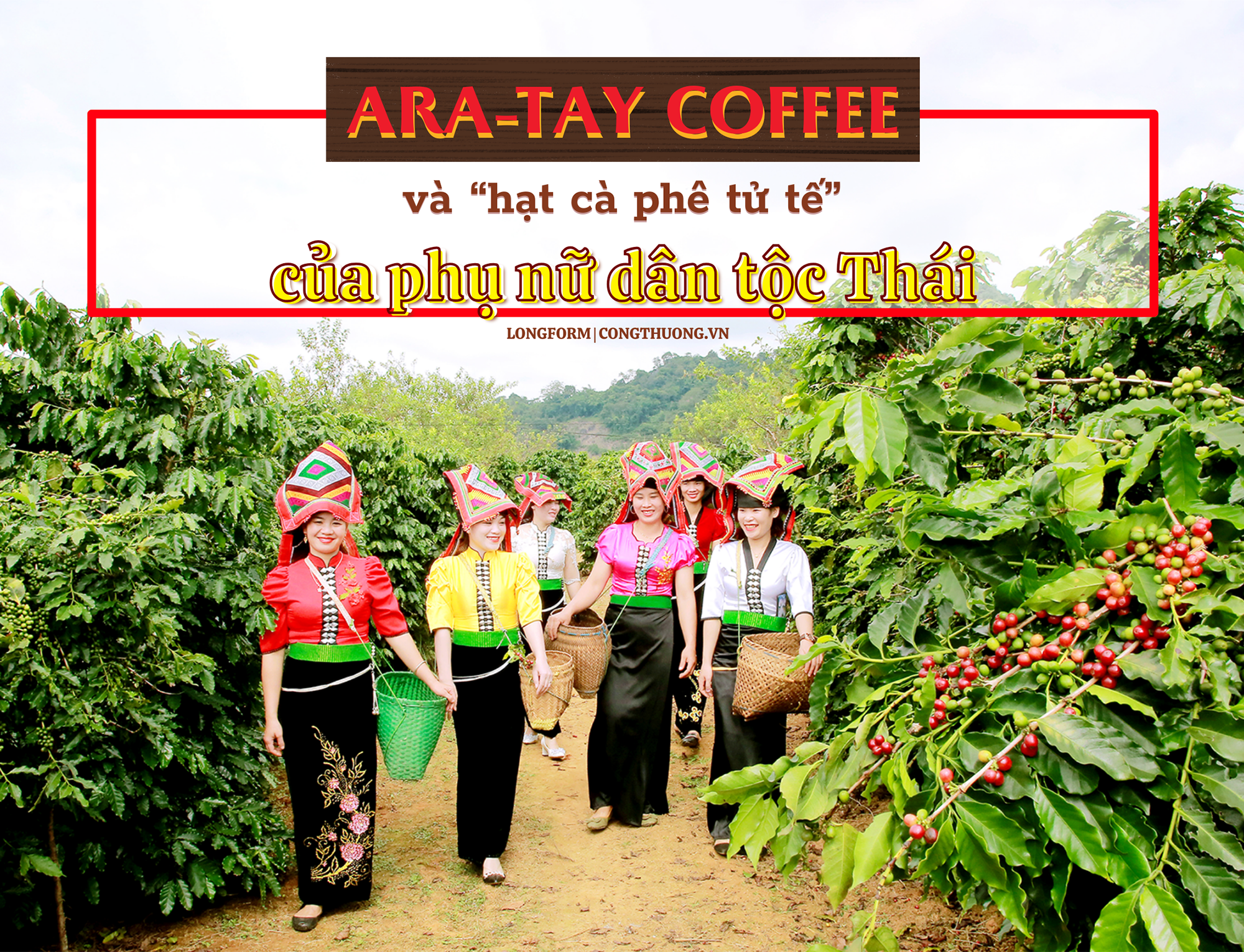 Longform | Ara-Tay Coffee và “hạt cà phê tử tế” của phụ nữ dân tộc Thái