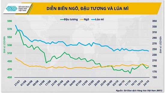 El Nino liệu có khiến giá nguyên liệu chăn nuôi tăng mạnh?