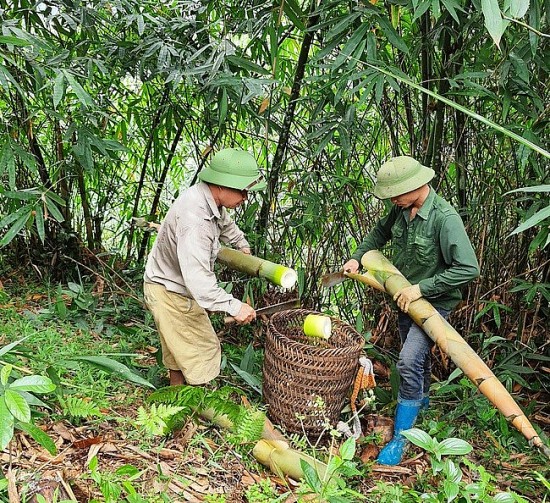 nang cao gia tri nong san yen bai nho chi dan dia ly