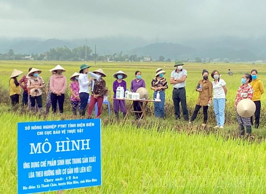 Liên kết chặt chẽ giữa nông dân và doanh nghiệp thúc đẩy tiêu thụ nông sản