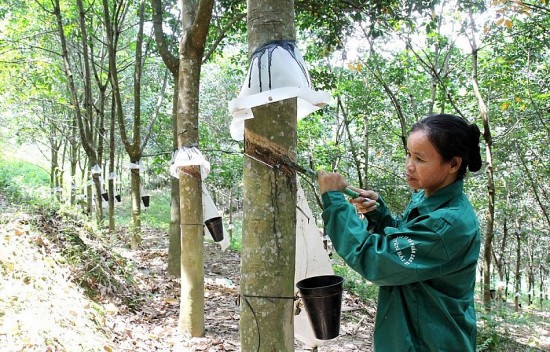 Ngày này năm xưa 28/10: Ban hành quy chế quản lý và sử dụng quỹ thưởng xuất khẩu