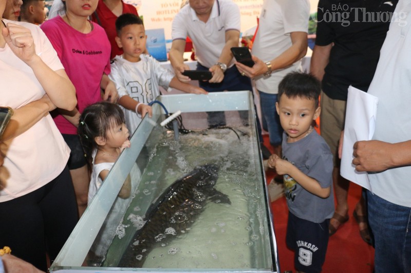 Khai mạc Lễ hội cá tôm sông Đà tỉnh Hòa Bình lần thứ nhất Khai mạc Lễ hội cá tôm sông Đà tỉnh Hòa Bình lần thứ nhất
