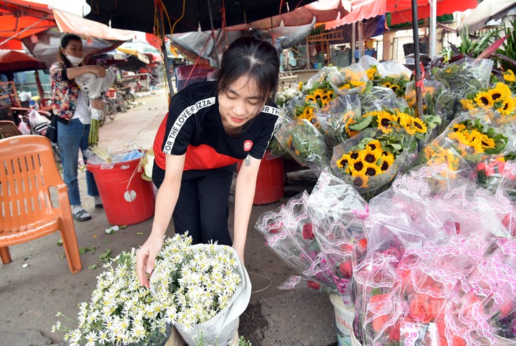 Lý do nào khiến giá cúc họa mi đầu mùa “hạ nhiệt”?