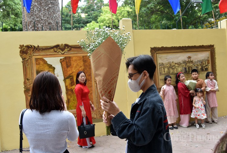 Lý do nào khiến giá cúc họa mi đầu mùa “hạ nhiệt”? Lý do nào khiến giá cúc họa mi đầu mùa “hạ nhiệt”?
